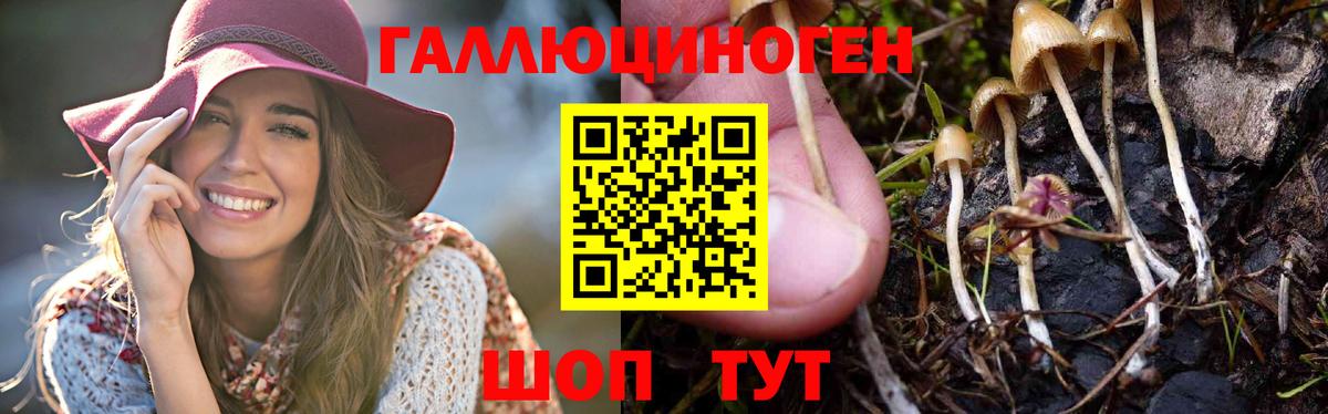 Галлюциногенные грибы прущие грибы Усолье-Сибирское